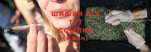 PSILOCYBIN Нефтегорск