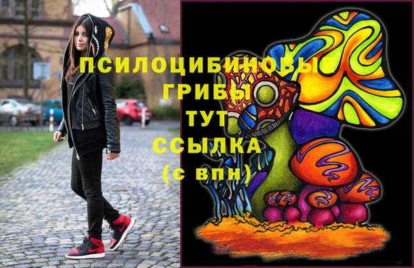 PSILOCYBIN Нефтегорск