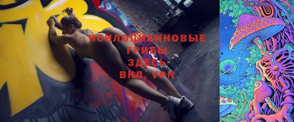 PSILOCYBIN Нефтегорск