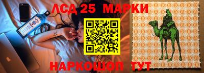 прущие грибы Балаково