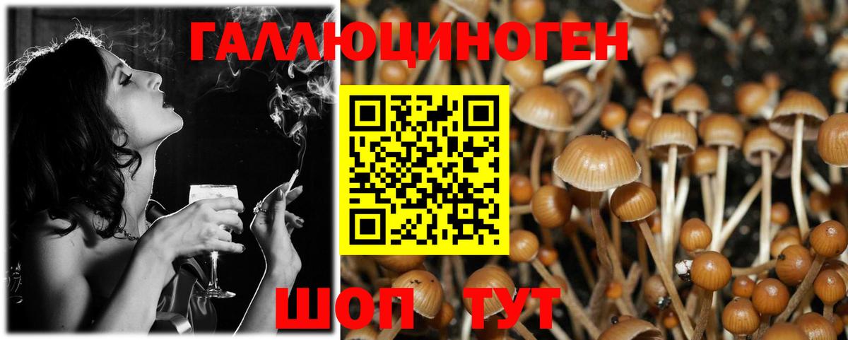 Галлюциногенные грибы MAGIC MUSHROOMS  Вход с VPN  закладки  Вичуга  Галлюциногенные грибы Psilocybine cubensis 
