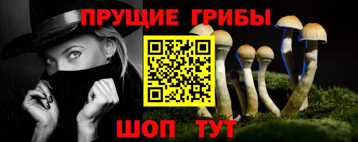 Галлюциногенные грибы Magic Shrooms Вичуга